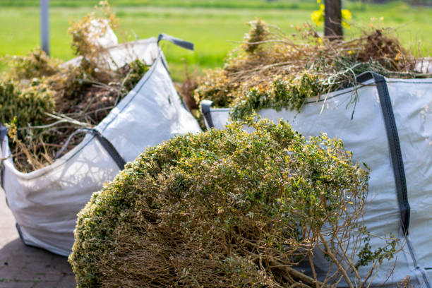 Best Commercial Junk Removal  in Essex Junction, VT